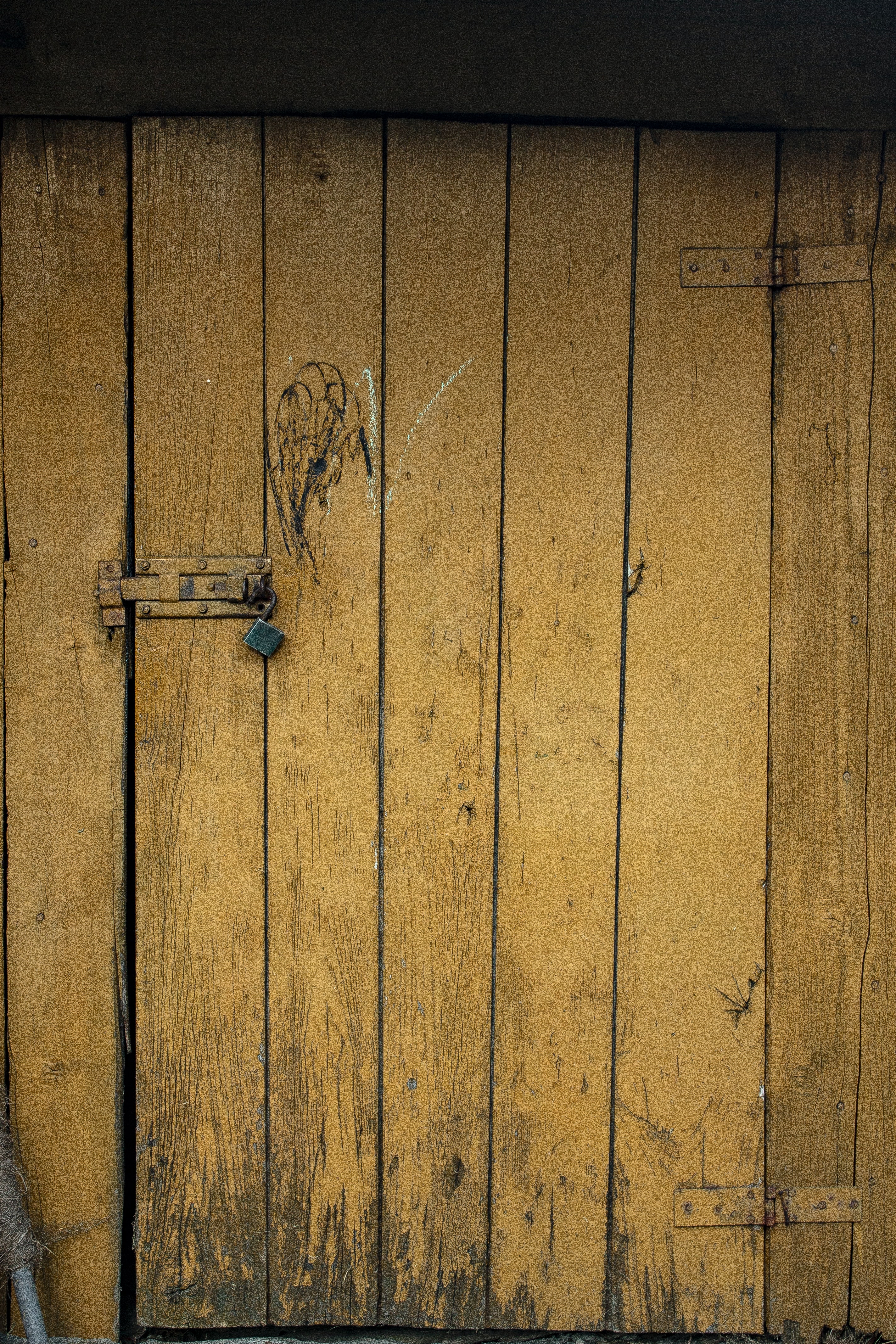 A photograph of a brown wooden panel door
